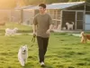 宠物狗狗托管中途因病接回，寄养费的法律账该怎么算？