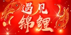 第2025079期锦鲤用户名单查询