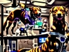 狗狗子宫蓄脓治疗分两路 卵巢子宫切除术为优选 药物治疗风险高需严随访
